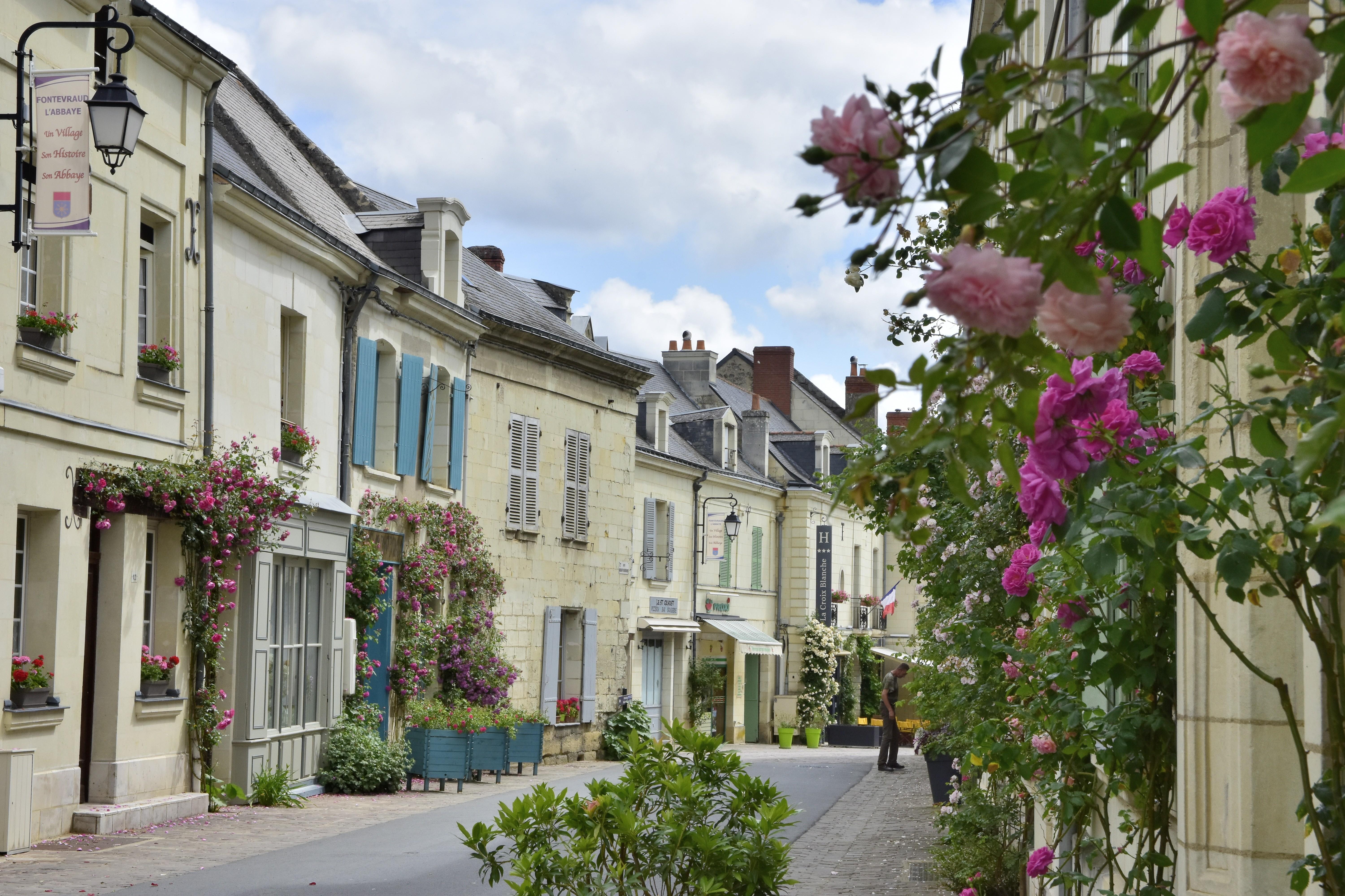Logis Hotel La Croix Blanche Fontevraud Dış mekan fotoğraf
